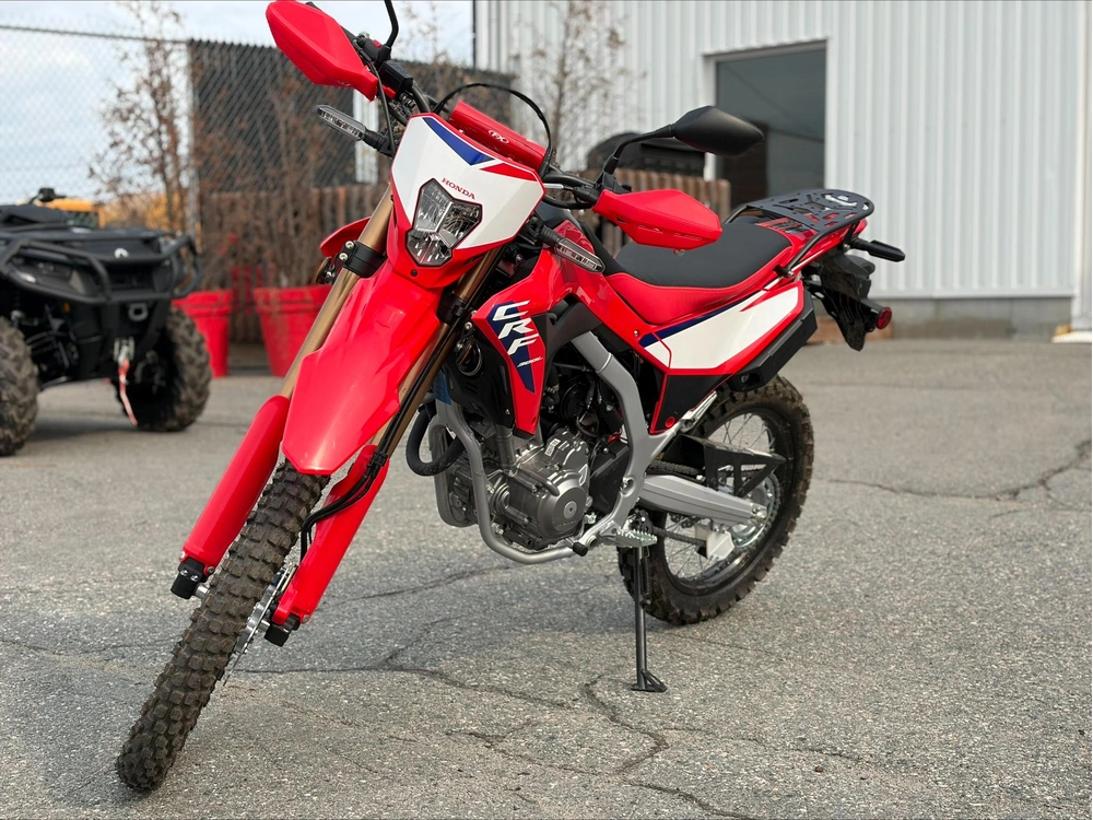 2025 Honda Crf300 La alt