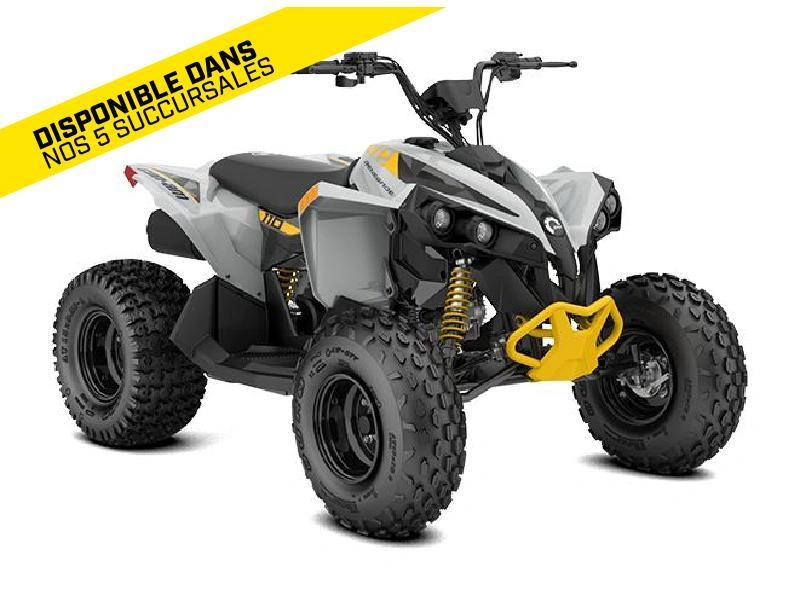 2026 Can-am Renegade 110 Efi alt
