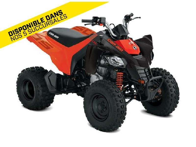 2026 Can-am Ds 250 alt