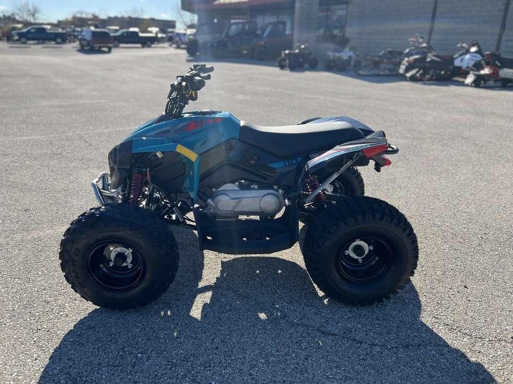 2026 Can-am Renegade 110 Efi alt