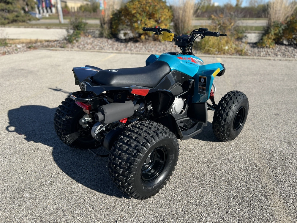 2026 Can-am Renegade 110 Efi alt