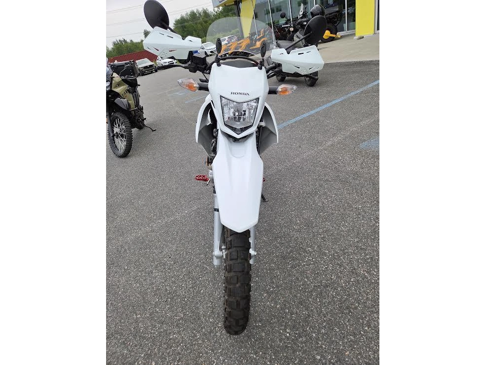 Honda Xr150l P 2024 alt