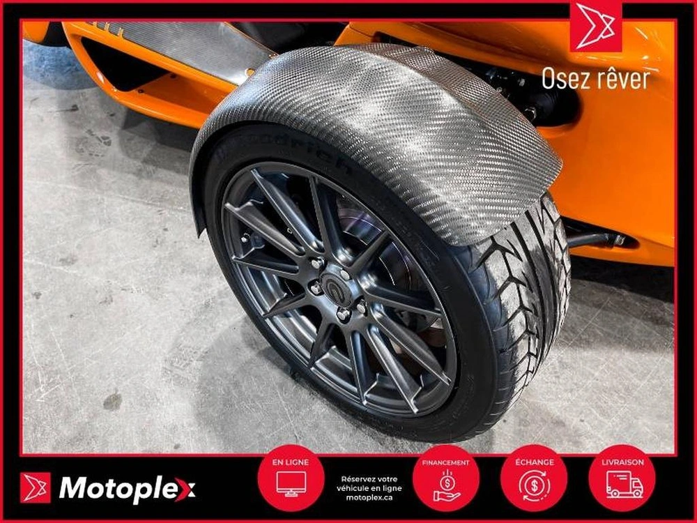 Campagna T-rex Rr 2021 alt