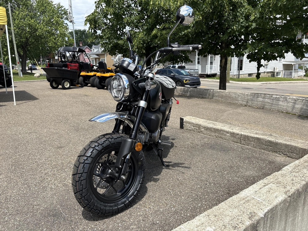 Honda Z125 Monkey 2026 alt