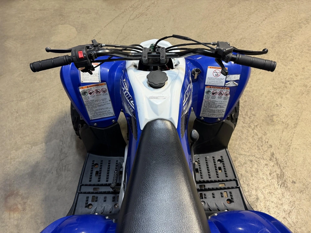 Yamaha Raptor 90 2020 alt