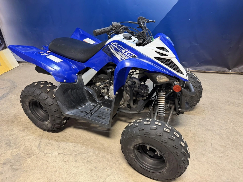 Yamaha Raptor 90 2020 alt
