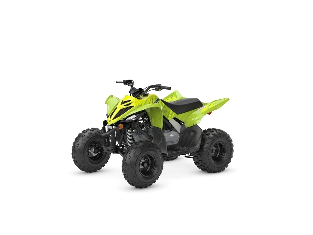 2026 Yamaha Raptor 110 alt