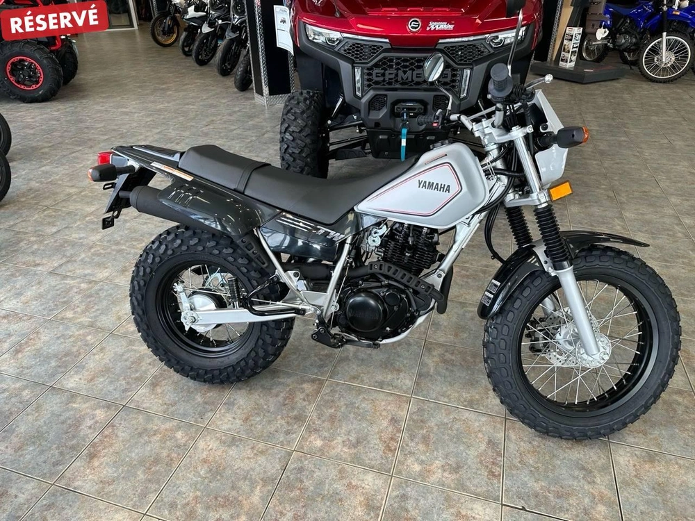 2026 Yamaha Tw200 alt