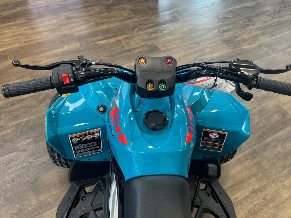 2026 Can-am Renegade 110 Efi alt