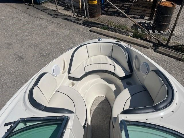 Sea Ray 185 Sport 2010 alt