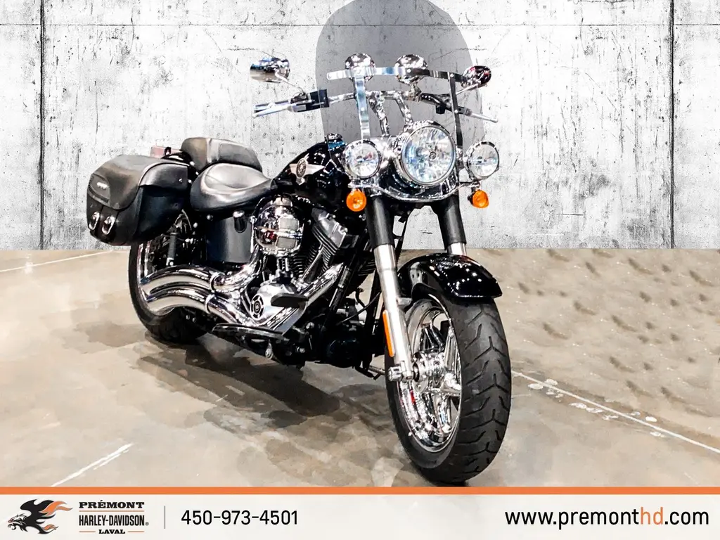 Harley-Davidson FATBOYFLSTF 2010