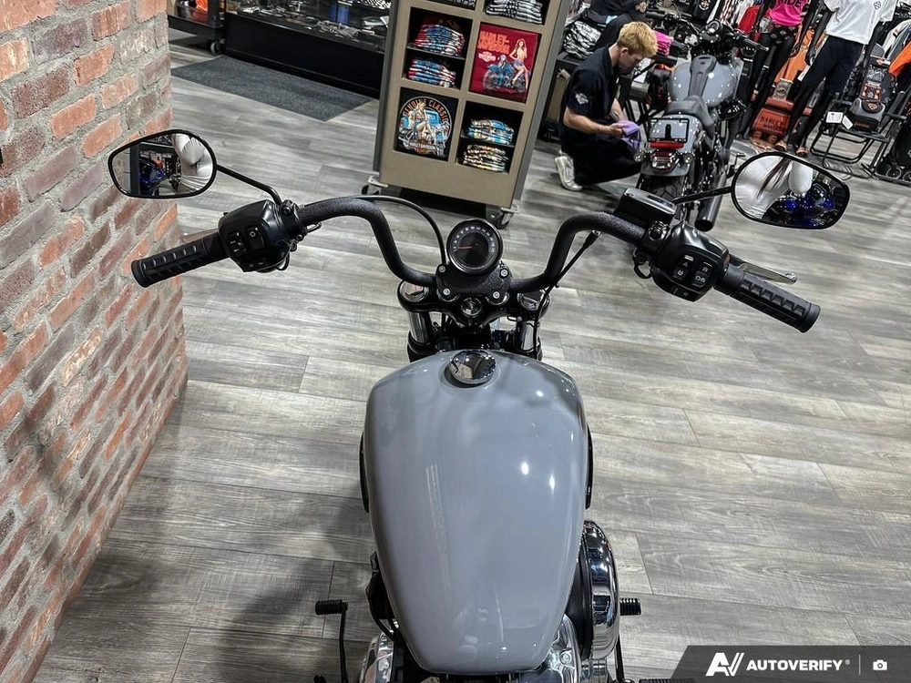 2026 Harley-davidson Street Bob alt