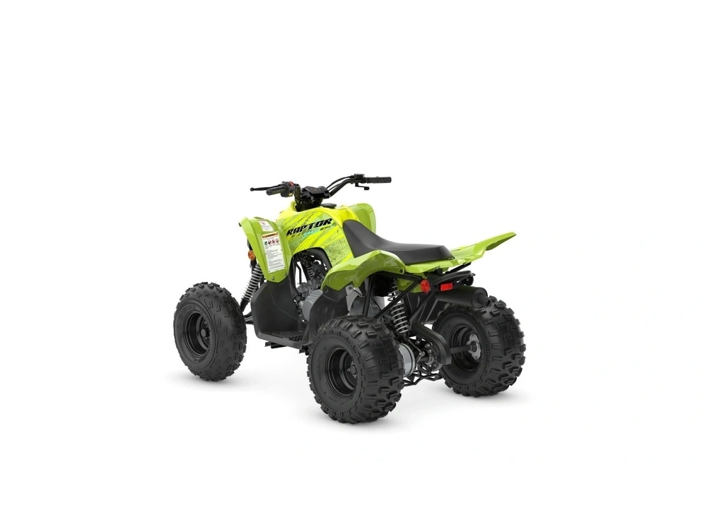 2026 Yamaha Raptor 110 alt