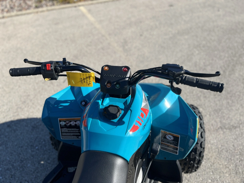 2026 Can-am Renegade 110 Efi alt