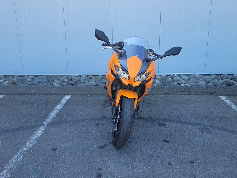2025 Kawasaki Ninja 650 alt