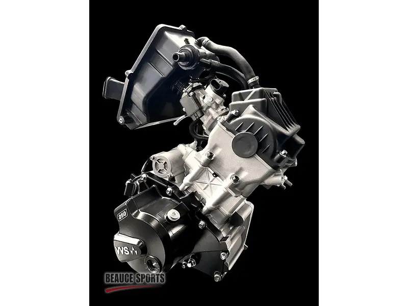 Arctic Cat WIDESCAPE 250 US BLACK | 🌟 Alternative moderne au Snow Hawk 🌟 | 2024