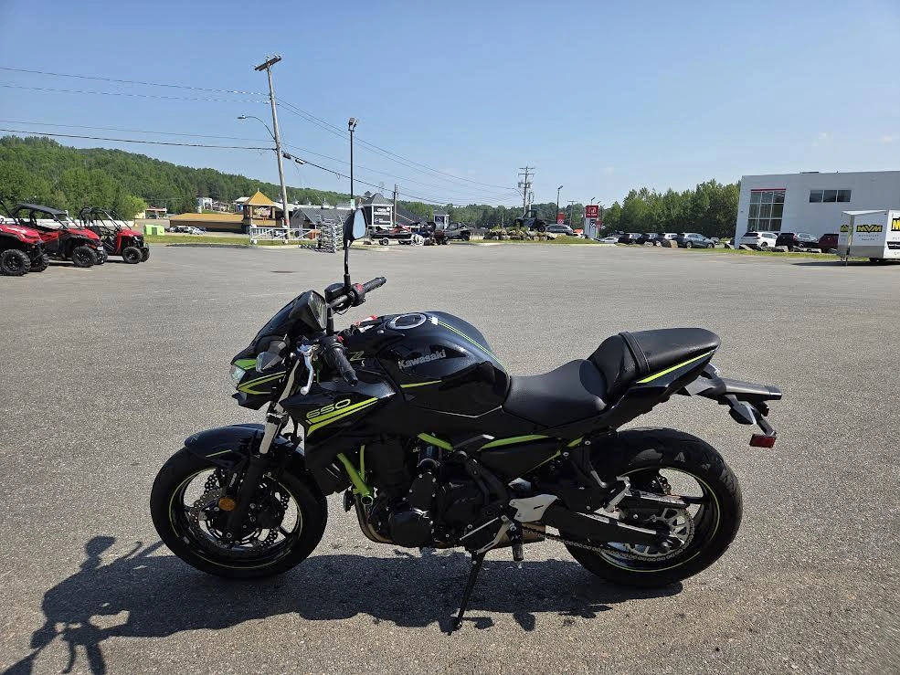 Kawasaki Z 650 2020 alt