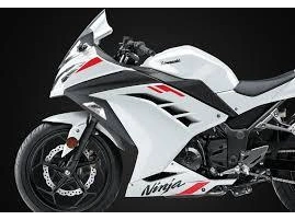 Kawasaki Ninja 300 2026 alt