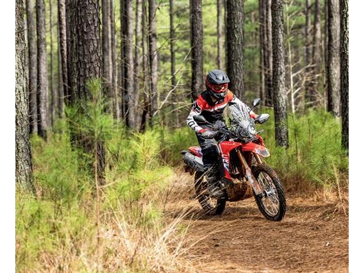 Honda Crf300l Rally 2026 alt