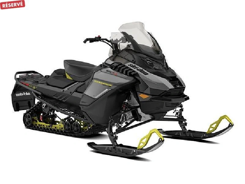 Ski-doo Renegade Adrenaline 900 Ace Turbo Ripsaw 1.25'' E.s. 2026 alt