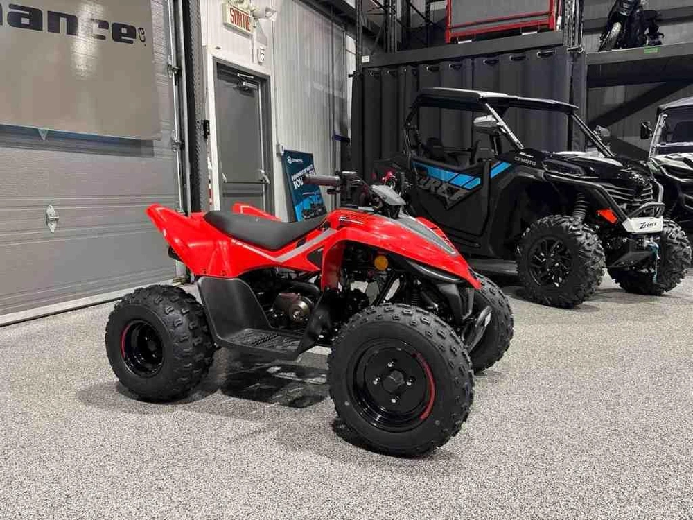 Cfmoto Cforce 110 Classic 2026 alt