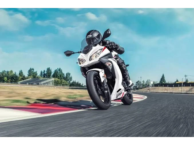 Kawasaki Ninja 300 2026 alt