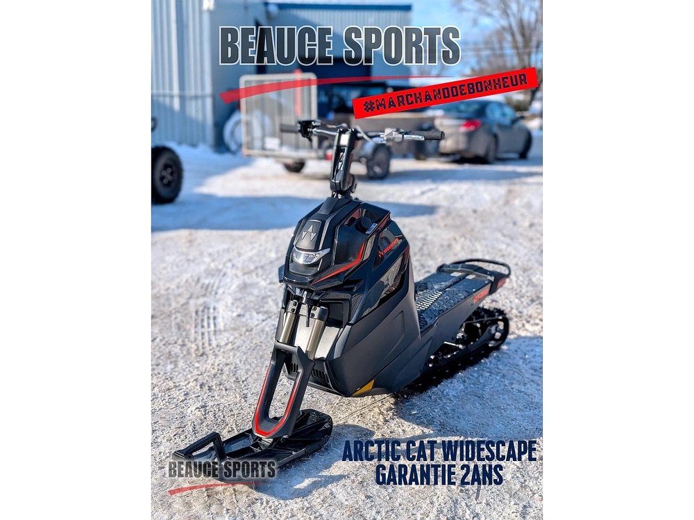 Arctic Cat Widescape 250 Us Black | 🌟 Alternative Moderne Au Snow Hawk 🌟 | 2024 alt