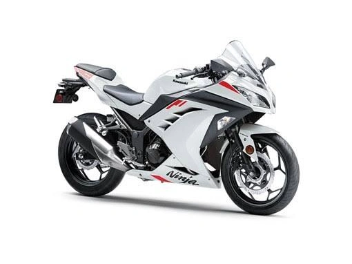 Kawasaki Ninja 300 2026 alt
