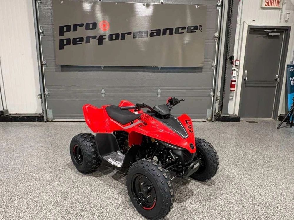 Cfmoto Cforce 110 Classic 2026 alt