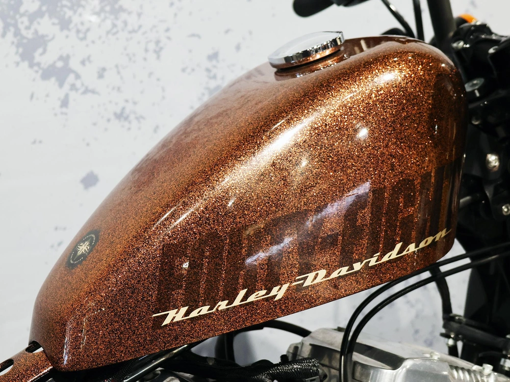 2014 Harley-davidson Forty-eight Xl1200x alt