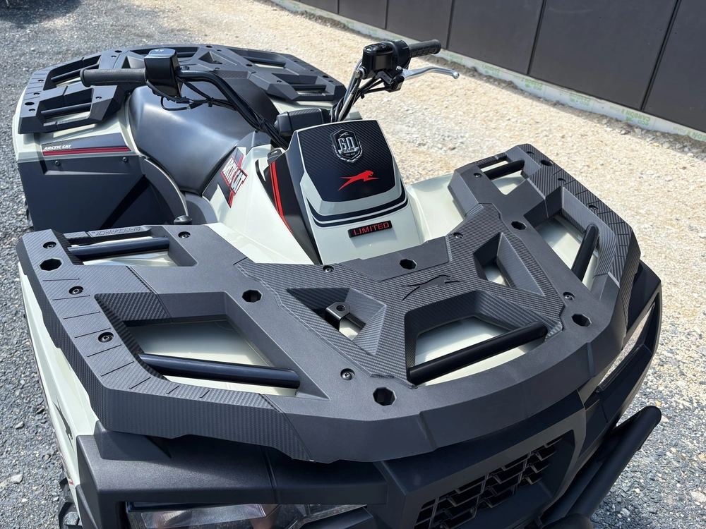 2022 Arctic Cat Alterra 600 Xt alt