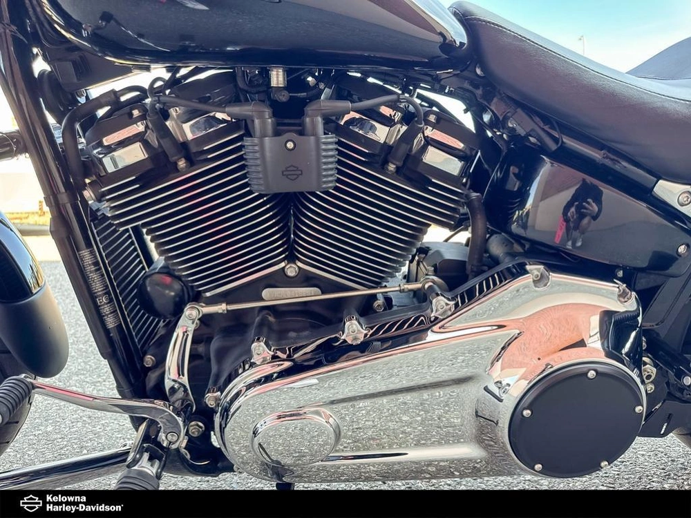 2020 Harley-davidson Flsb - Sport Glide alt