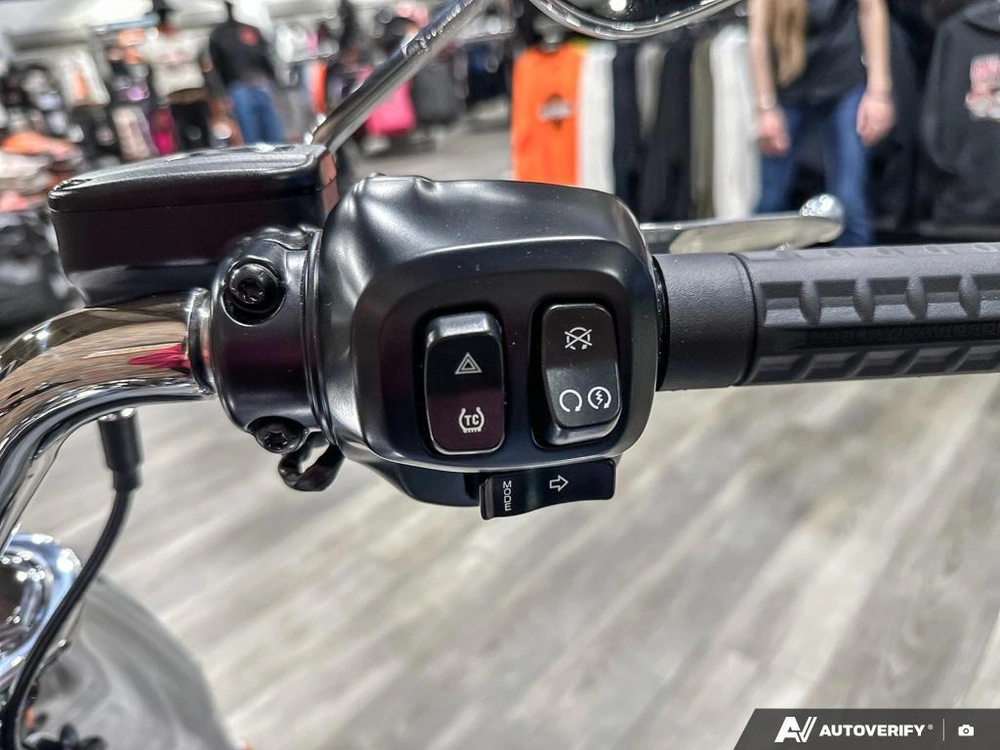 2026 Harley-davidson Fat Boy alt