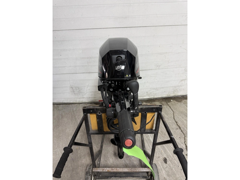 2023 Mercury 15elh alt