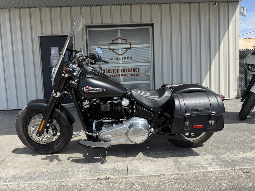 2018 Harley-davidson Flsl-slim alt