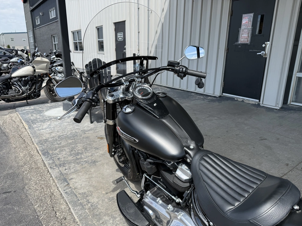 2018 Harley-davidson Flsl-slim alt