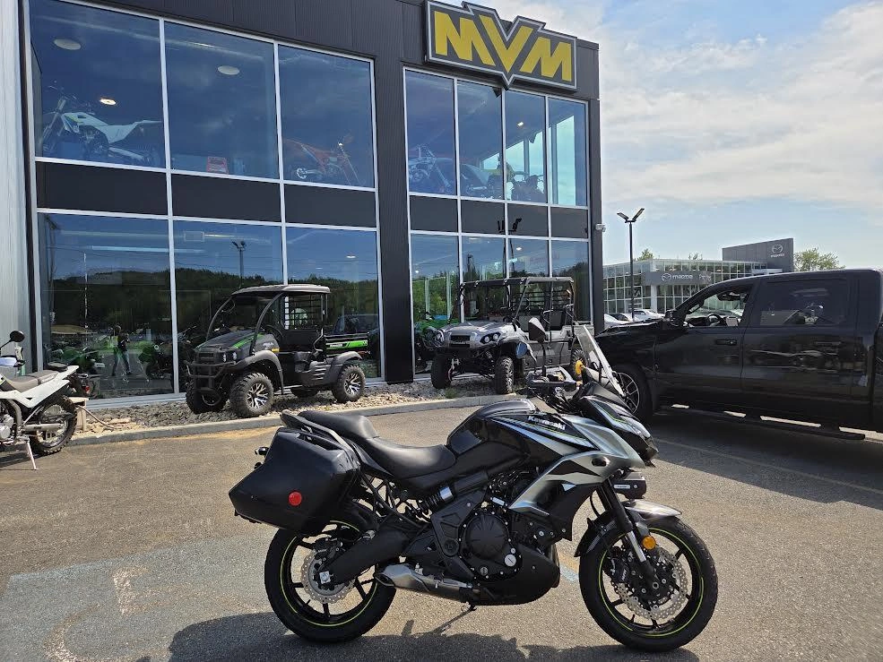 Kawasaki Versys 650 2019 alt