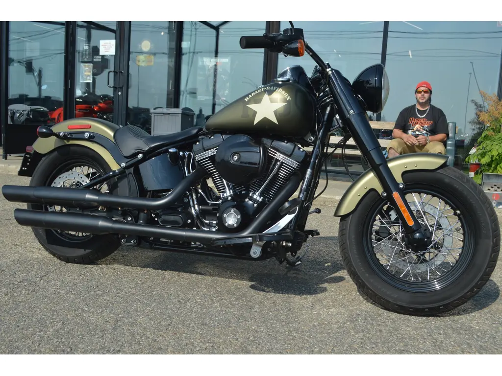 2017 Harley-Davidson FLSS