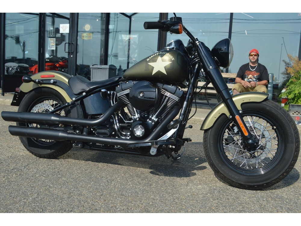 Harley-davidson Flss 2017 alt