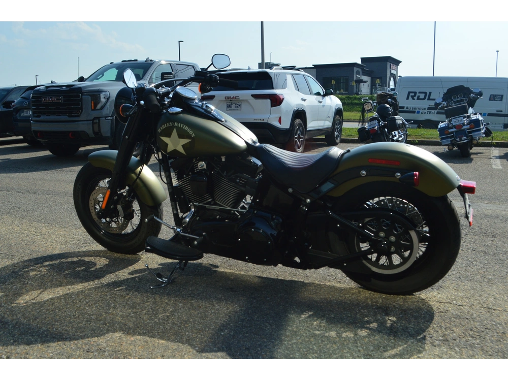 Harley-davidson Flss 2017 alt