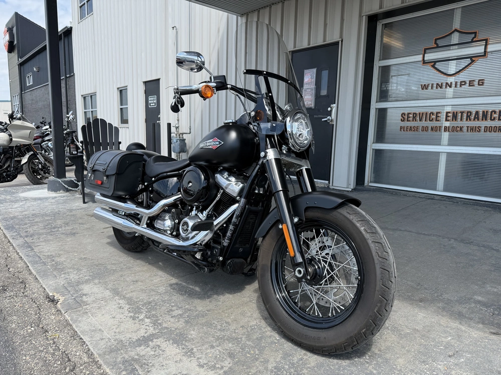 2018 Harley-davidson Flsl-slim alt