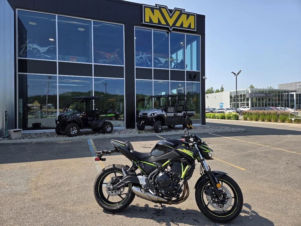 Kawasaki Z 650 2020 alt