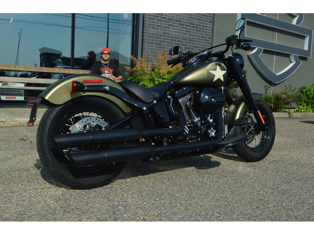 Harley-davidson Flss 2017 alt