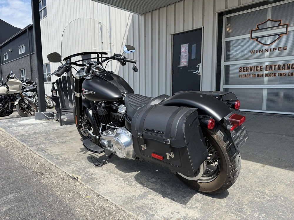 2018 Harley-davidson Flsl-slim alt
