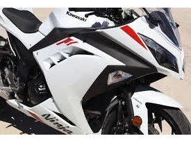 Kawasaki Ninja 300 2026 alt