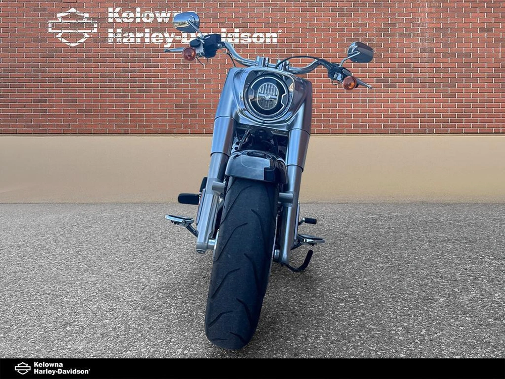 2019 Harley-davidson Flfbs - Fat Boy 114 alt