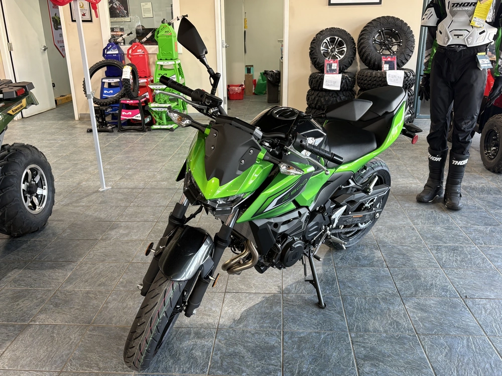 2026 Kawasaki Er500etfnn alt