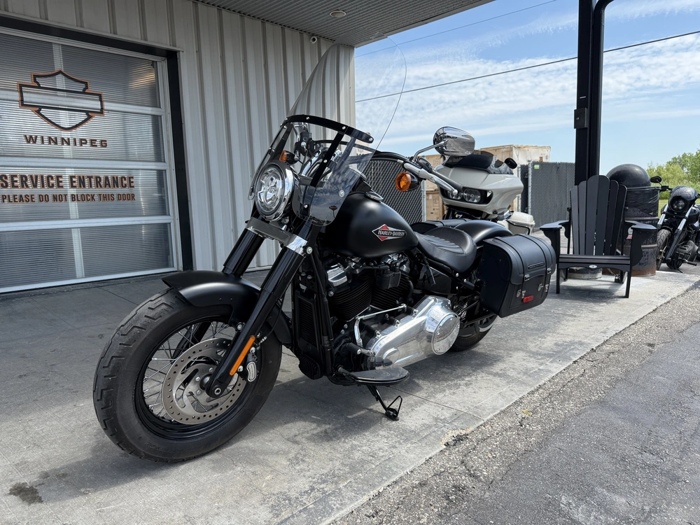 2018 Harley-davidson Flsl-slim alt