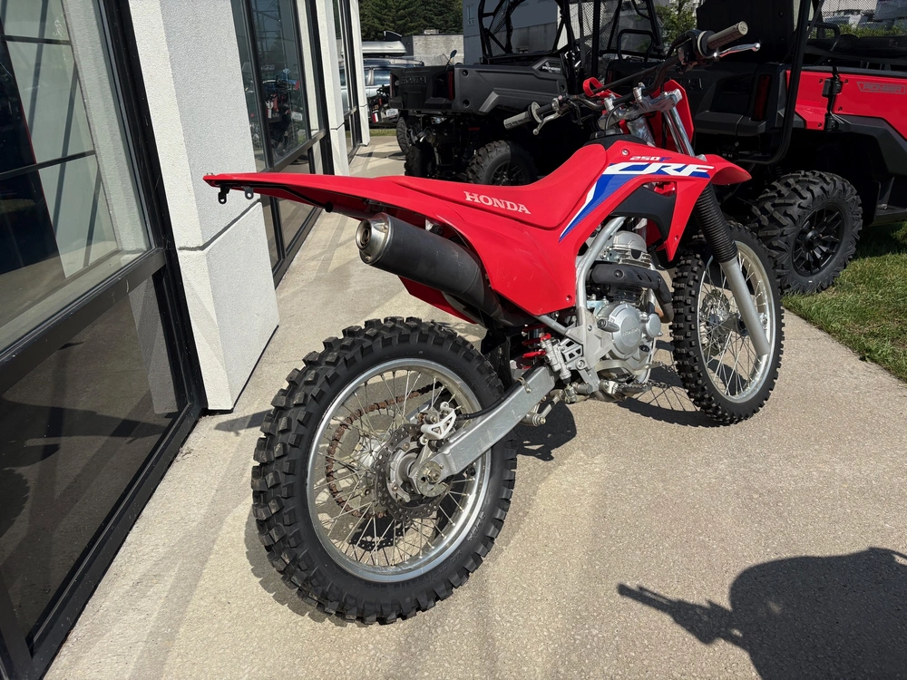2024 Honda Crf250f alt