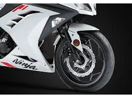 Kawasaki Ninja 300 2026 alt